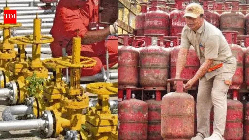 ‘Big thanks’: 6,000 PNG users surrendered their LPG connections, says govt | India News