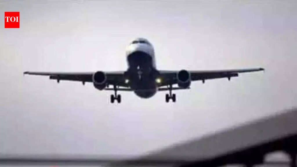3,000 less domestic flights to take to the skies this summer | India News