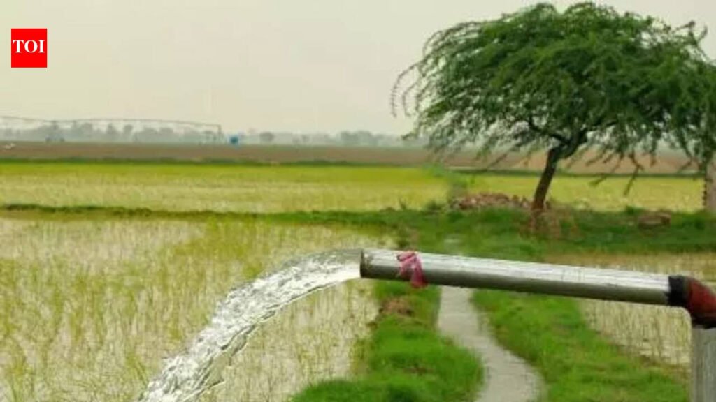 Parliamentary panel flags groundwater depletion, contamination in Punjab | Chandigarh News