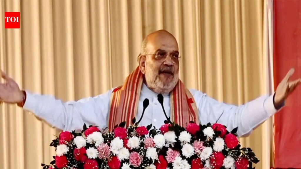 Amit Shah Urges Assam to Give BJP 5 More Years to Expel Infiltrators | Guwahati News