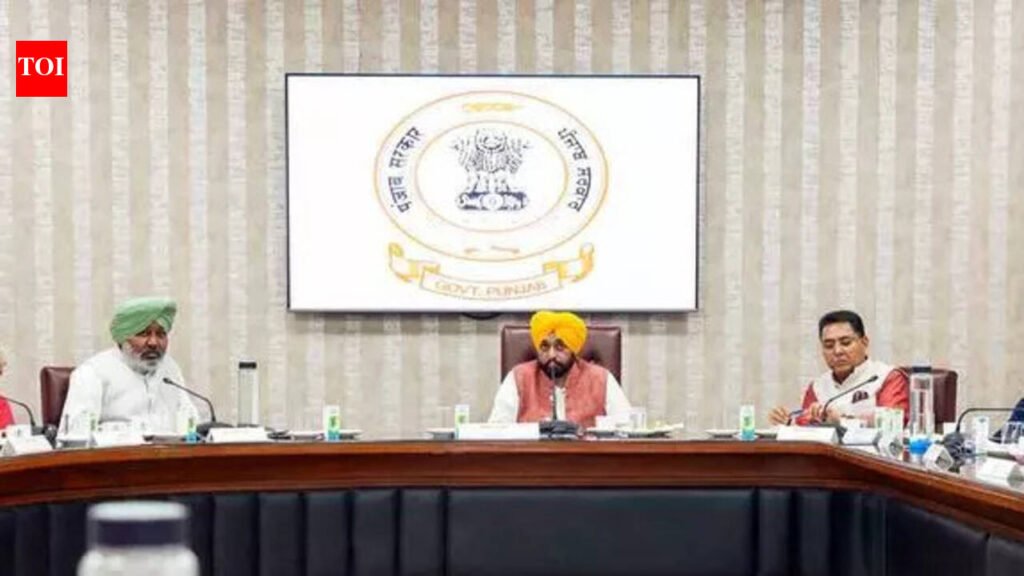 Punjab cabinet clears monthly aid scheme for women; registrations to begin on Baisakhi | Chandigarh News