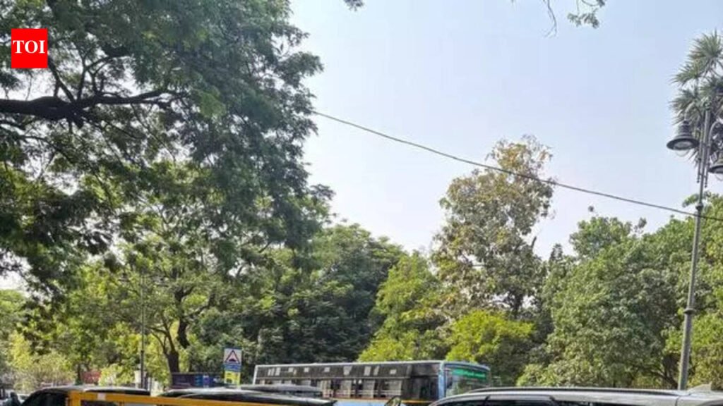 Poor upkeep, encroachments plague T Nagar pedestrian plaza | Chennai News