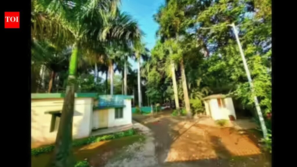 Panel for systemic reforms to avoid Mundhwa mistake | Pune News