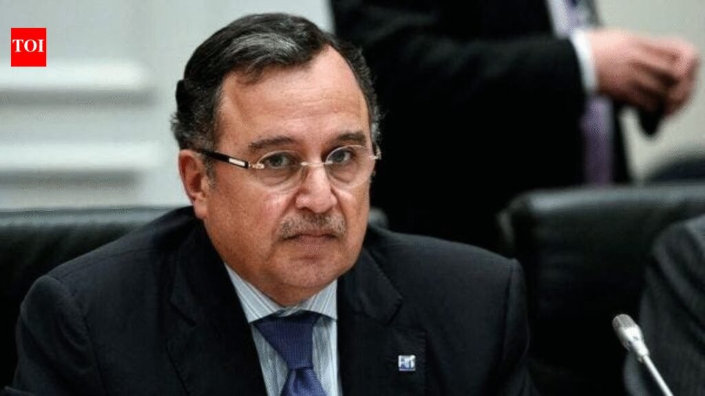 Arab League approves Nabil Fahmy as next secretary-general, to succeed Aboul Gheit in June | World News