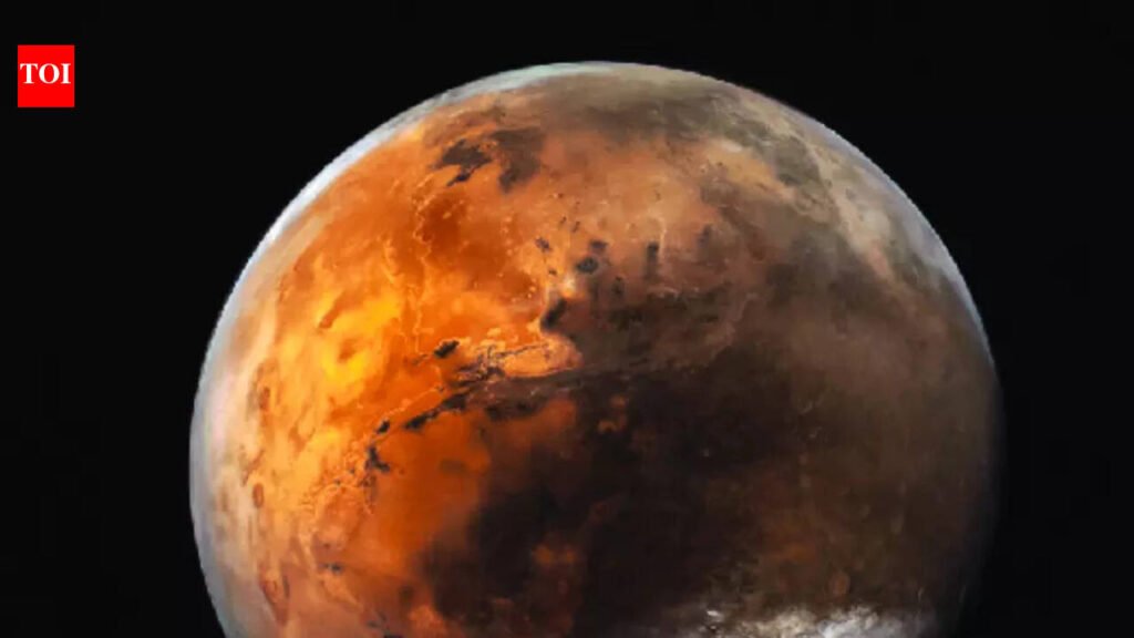 Indo-UAE scientists explore planetary models from Antarctica to Mars | Goa News