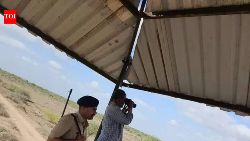 It takes 50 babysitters to raise this GIB chick! | Ahmedabad News