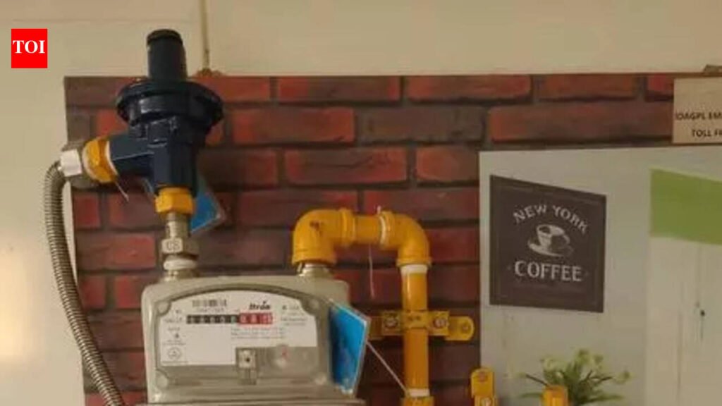 LPG cylinder withdrawal process starts for PNG users in state | Mysuru News