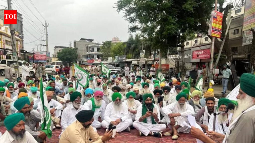 Farm group seeks relief for kin of farmer brothers | Chandigarh News