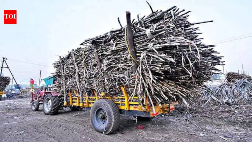 MoU signed to promote sugar cane industries in state | Patna News