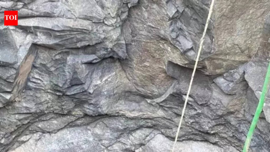 Rare four-horned antelope falls into well in Raigad village, rescued | Mumbai News