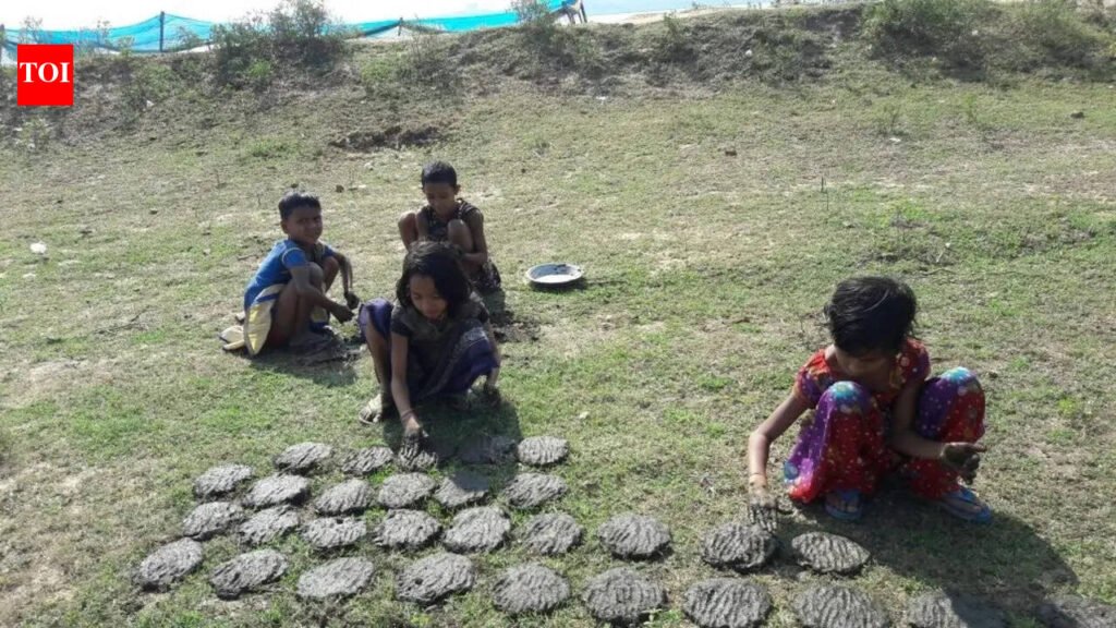 People opt for fuel from cow-dung cakes in Kendrapada | Bhubaneswar News
