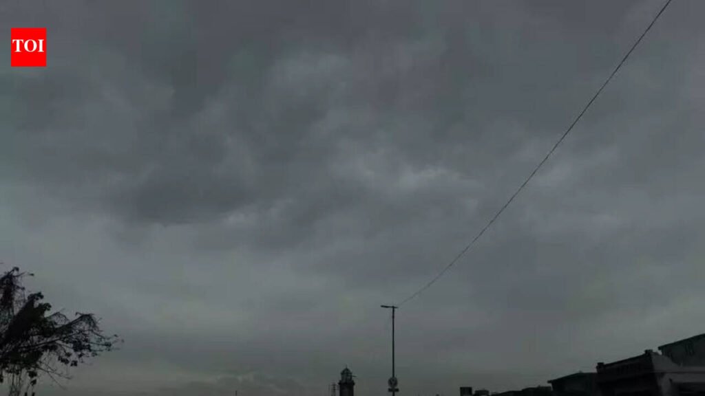 Drizzle fails to cool Ludhiana as temperature remains above normal | Ludhiana News