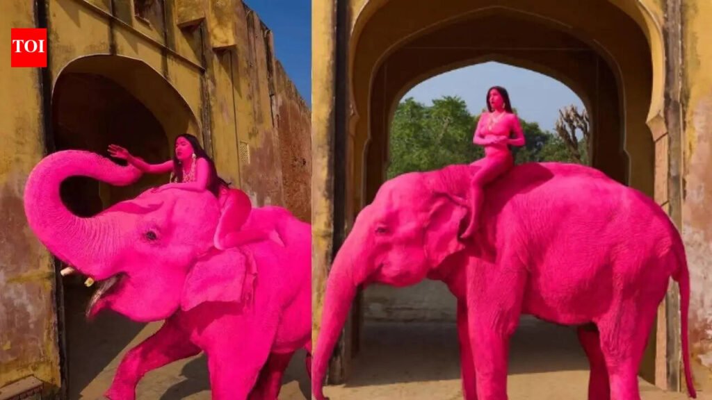 Jaipur Elephant Shooting: Russian photographer’s ‘pink elephant’ shoot in Jaipur sparks animal safety concern | Jaipur News