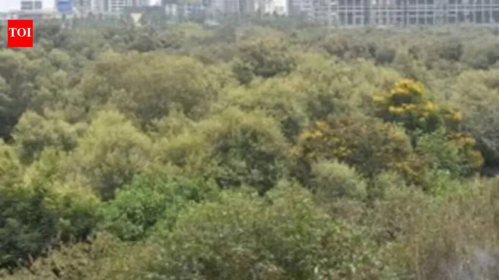 Mangrove felling for Mumbai coastal road prompts call for independent review | Mumbai News