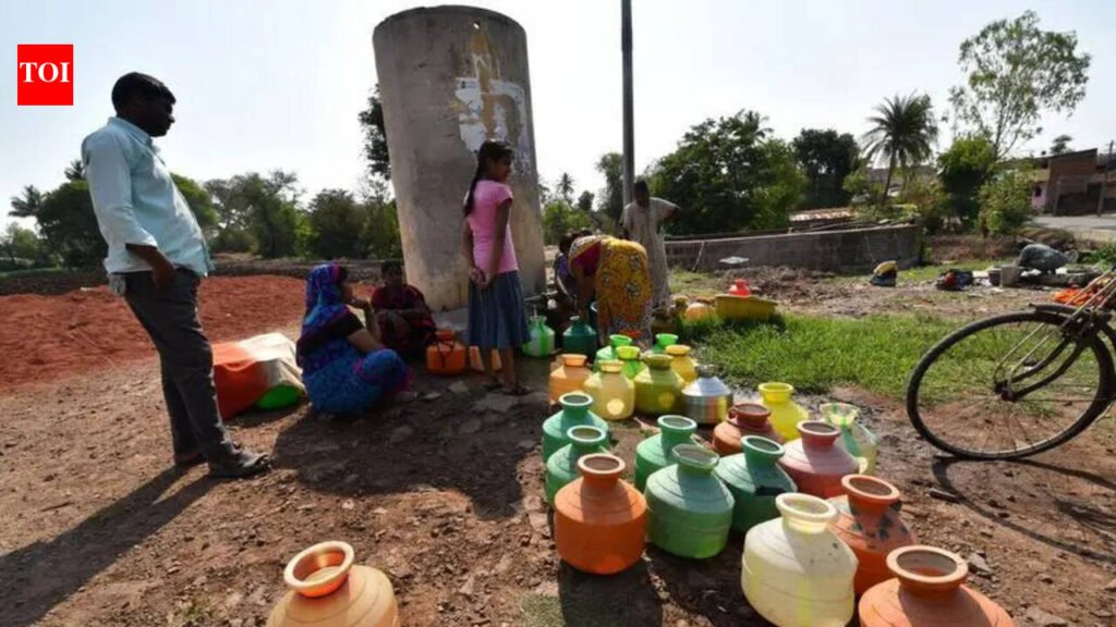 784 villages across Kalyana Karnataka ran dry last year | Bengaluru News