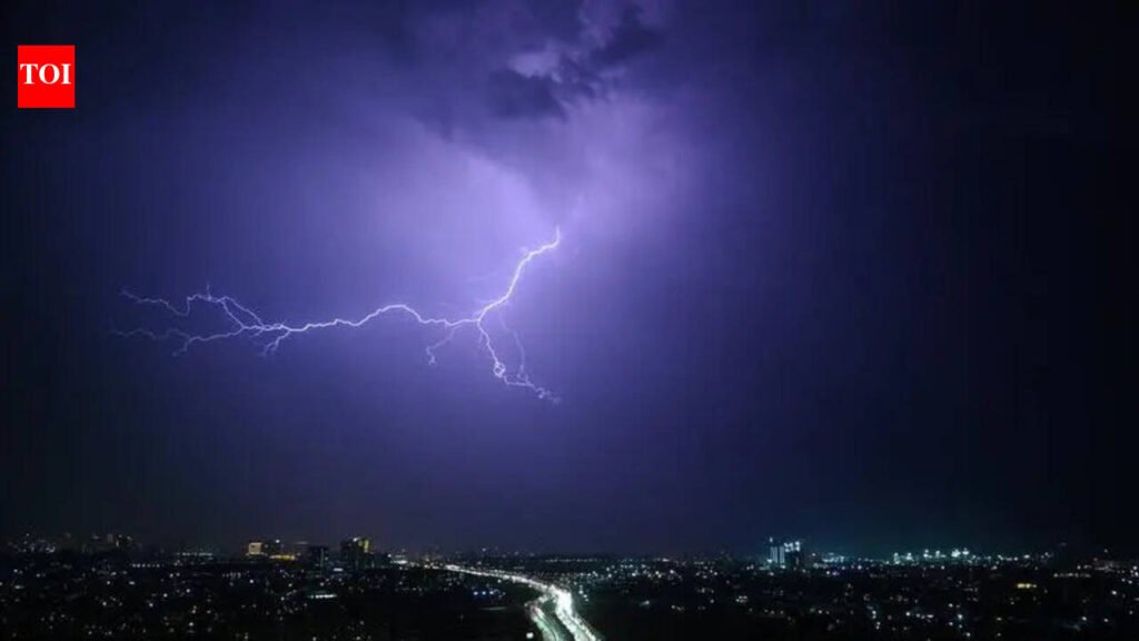 Hail, gusty winds flatten wheat crop in Punjab, Haryana; more rain likely | Chandigarh News