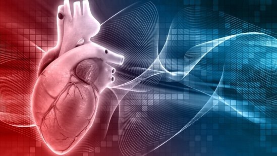 Cardiologists explain what to do immediately in first 10 minutes of heart attack: ‘Difference between life and death…’