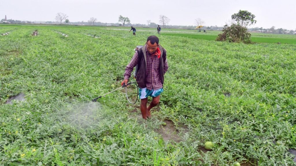 Iran war impact: Pesticide industry warns of price rise, spread of fake materials