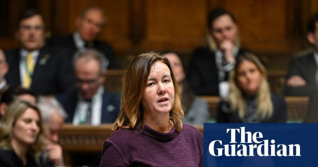 UK parliament to debate whether all suicides linked to domestic abuse to be investigated as homicide | Domestic abuse suicide