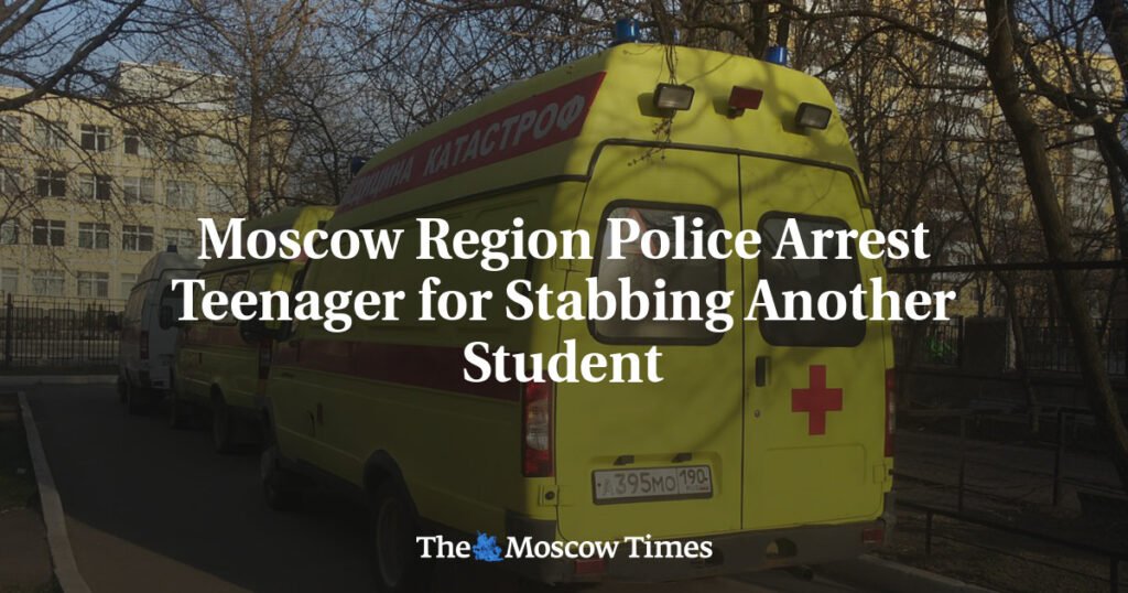 Moscow Region Police Arrest Teenager for Stabbing Another Student