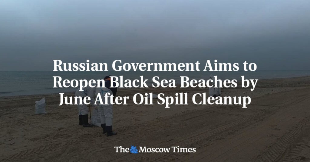 Russian Government Aims to Reopen Black Sea Beaches by June After Oil Spill Cleanup