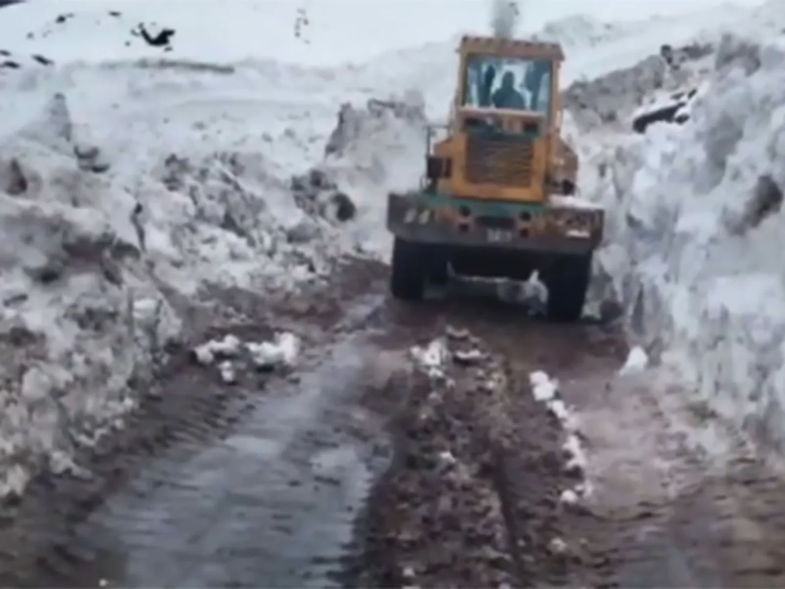 Twin avalanches hit Bandipora-Gurez road; BRO launches clearance operations to restore connectivity – Rising Kashmir