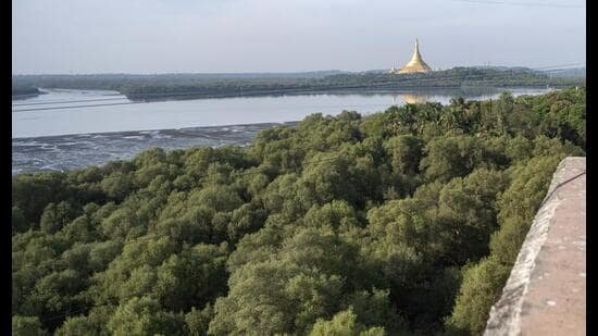 Ecological lessons for urban planners