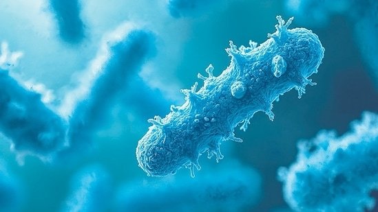 India’s TB burden is also an AMR warning signal