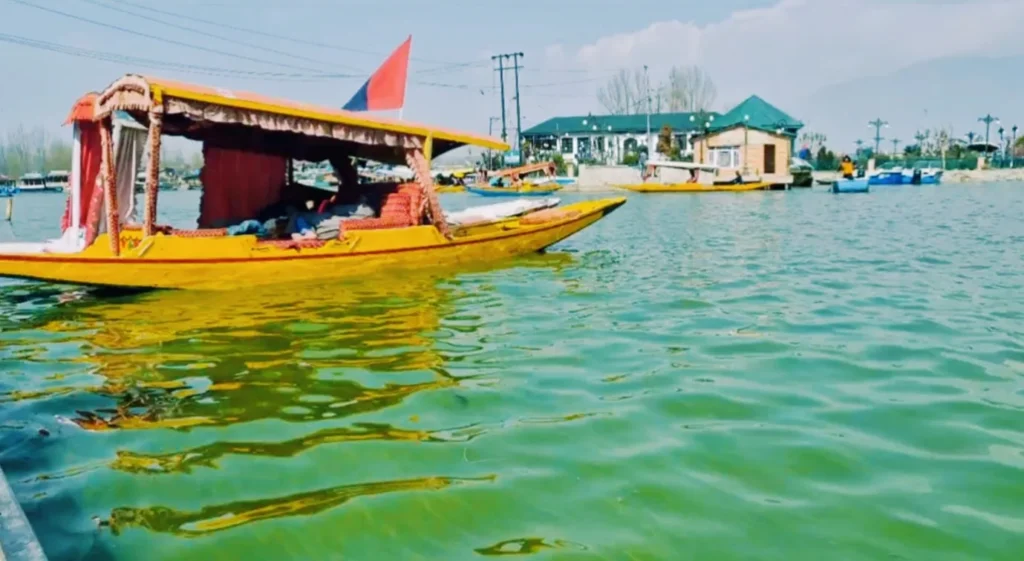 Dal Lake turns green, alarms residents; experts say it’s natural – Rising Kashmir