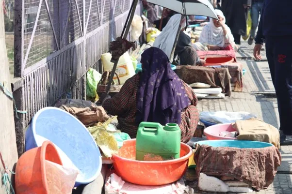 Kashmiri fisherwoman keeps generations-old legacy afloat – Rising Kashmir