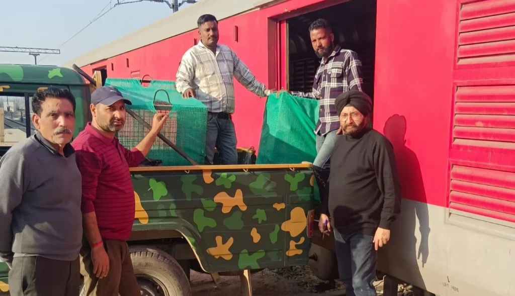 Jammu Rly Div transports zoo animals to Chennai – Rising Kashmir