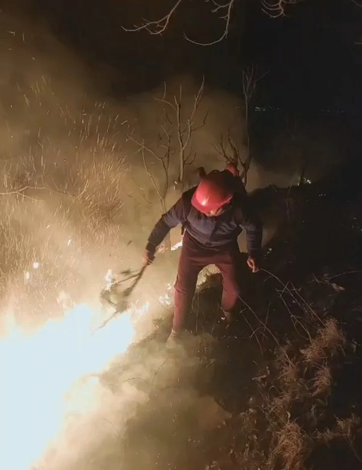 Dry spell drives wave of forest fires across Valley – Rising Kashmir