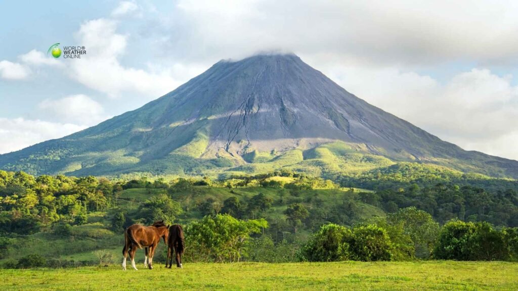 Rainforest Weather Guide: Costa Rica’s Seasonal Patterns for Wildlife Travelers
