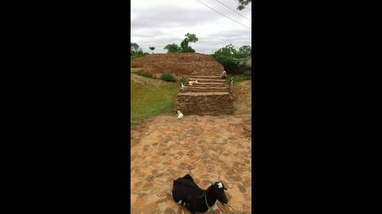 Search for early Mithila civilisation: ASI gives fresh nod to excavation at ancient Balirajgarh site