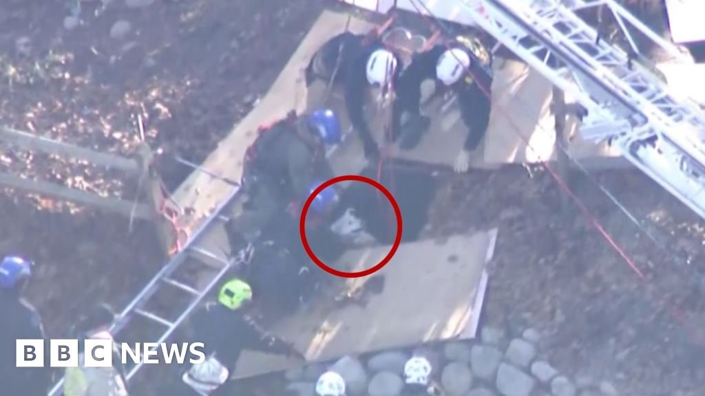 Dog rescued after falling into a 12-foot (3.6m) sinkhole