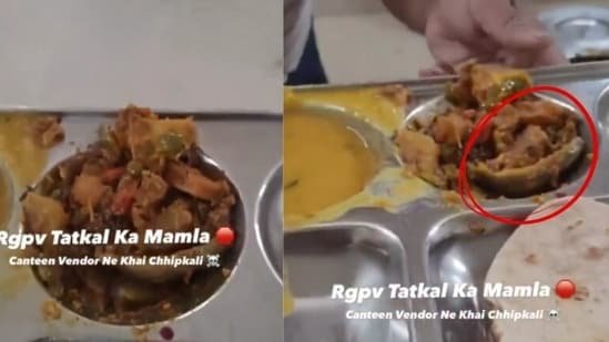 Student claims lizard found in Bhopal university food, staff eats it to deny claim| India News