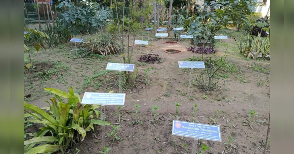 Delhi University’s Innovative ‘Carbon Garden’ Fights Air Pollution, ETHealthworld