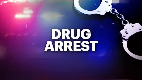 Three drug peddlers arrested in Kulgam – Rising Kashmir