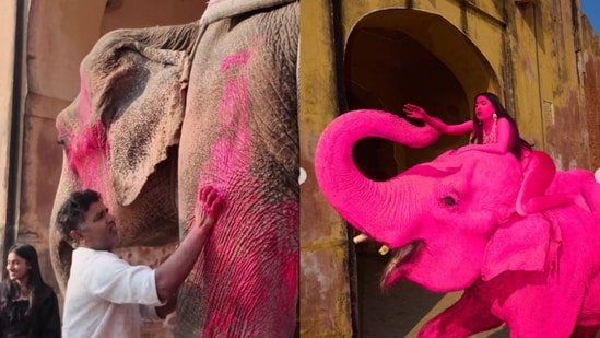 Foreign photographer faces backlash for painting elephant pink in Jaipur for photoshoot: ‘Should’ve just used AI’