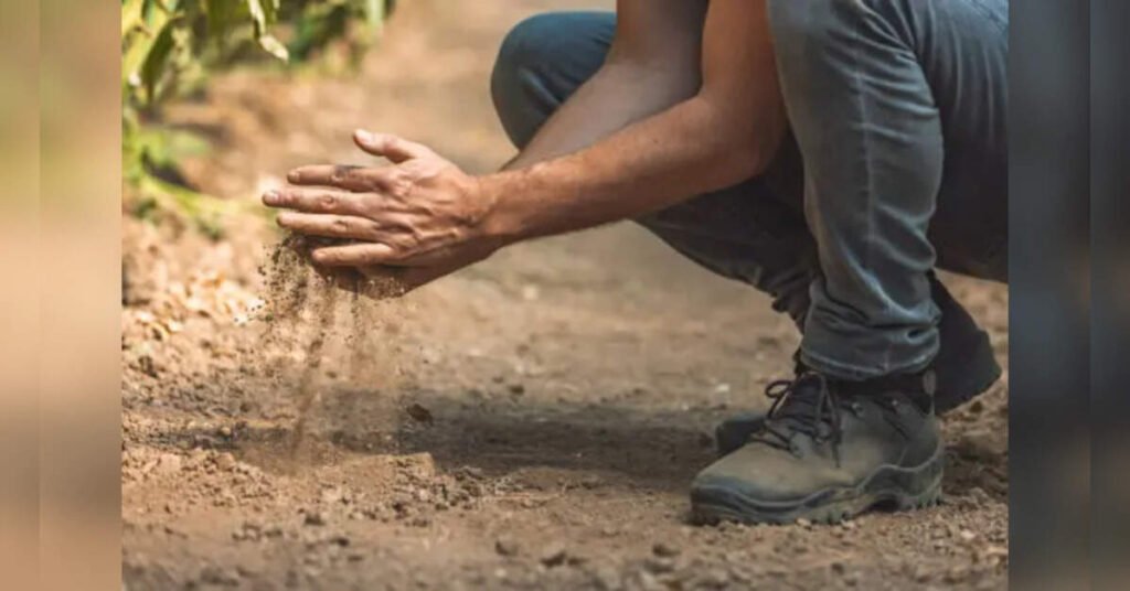 Climate Change Linked to Rise in Antibiotic-Resistant Bacteria: New Study, ETHealthworld