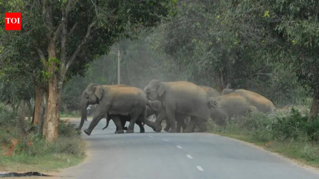 Interstate suspect held in temple theft case | Mangaluru News