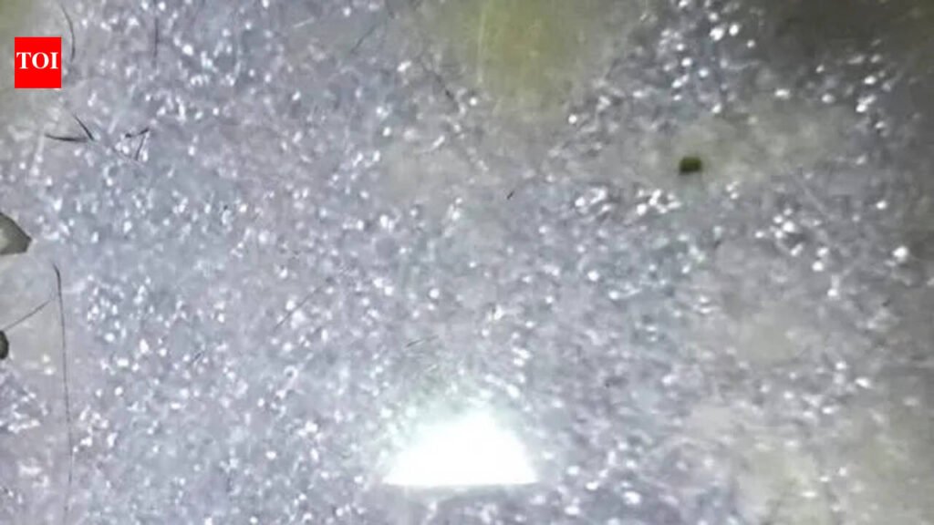 Insects found in Bapunagar ESIC hospital food | Ahmedabad News