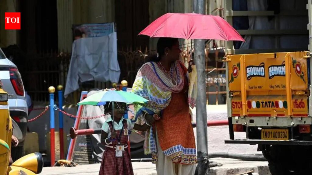 City may face heatwave conditions this summer | Chennai News