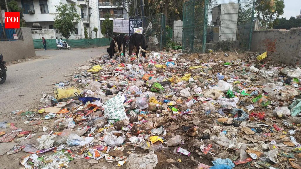 MCG floats ₹7 crore stopgap plan on day extended sweeping contracts end | Gurgaon News