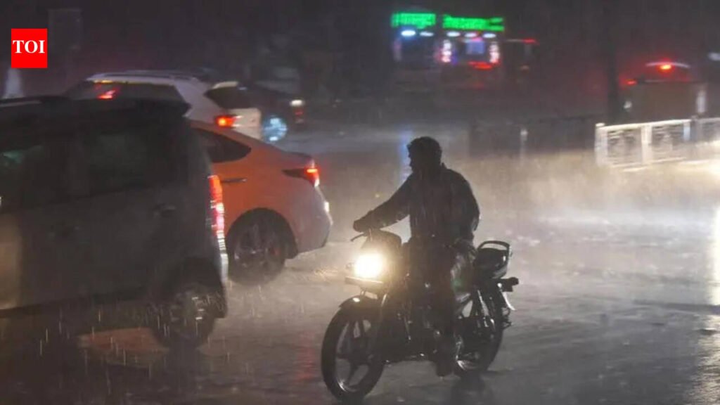 Four people killed in rain-related tragedies in Maha; crops and fruits over 64,573 hectares damaged across 28 districts | Pune News