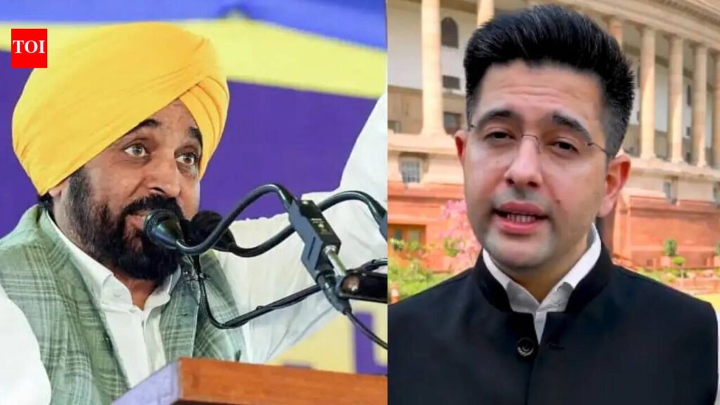 Raghav Chadha vs Bhagwant Mann: War of words rocks AAP leadership | Chandigarh News