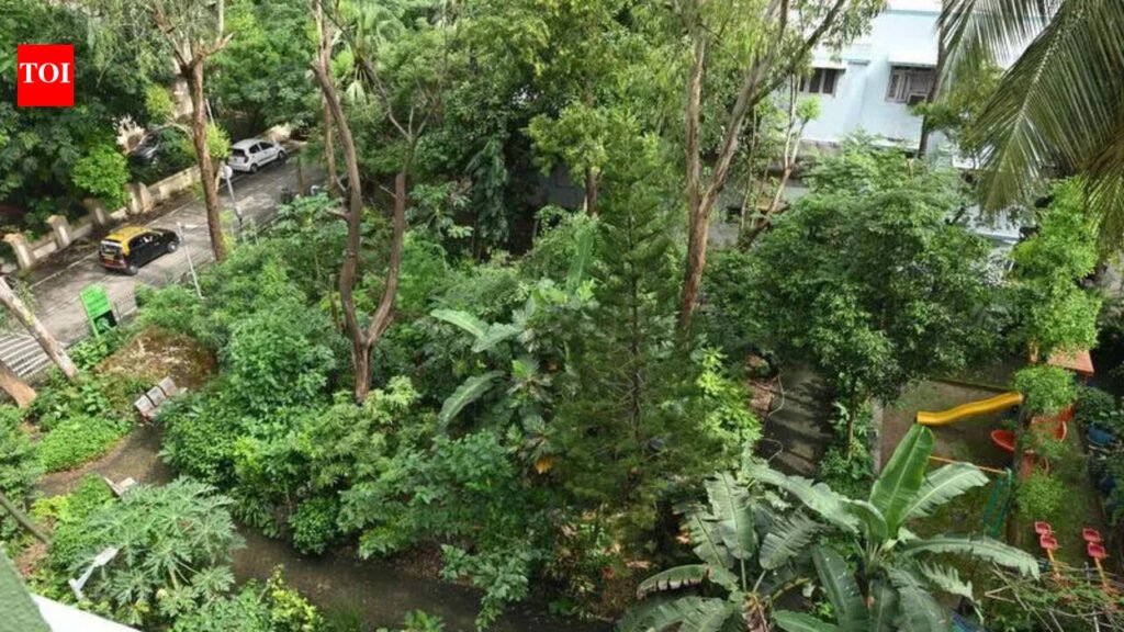 MCC to set up Miyawaki micro forests in 10 wards | Mysuru News