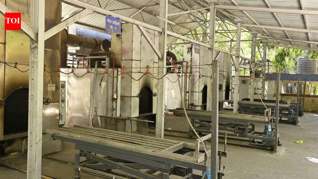 Gas-based crematorium planned at Digha Ghat | Patna News