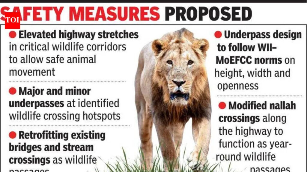 New two-lane highway in lion corridor, safety passages mapped | Rajkot News