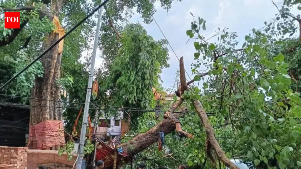 Storm, hailstorm wreak havoc in Kanpur; 2 killed, several Injured | Kanpur News